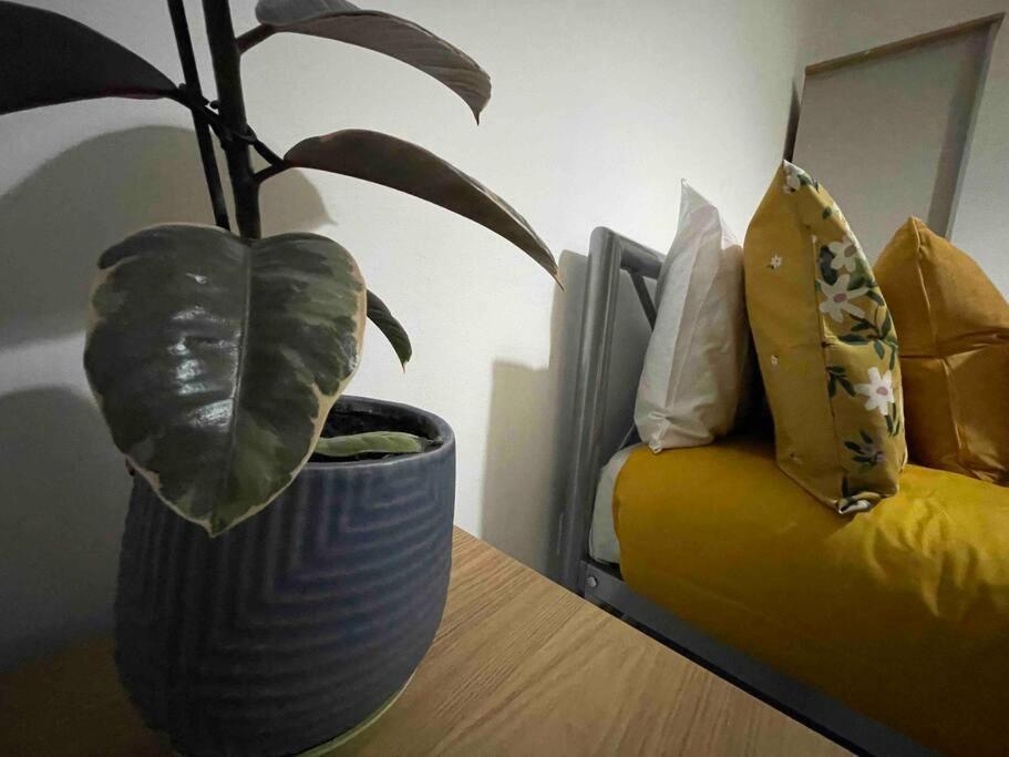 Victoria Mews Hoxton Shoreditch 伦敦 外观 照片
